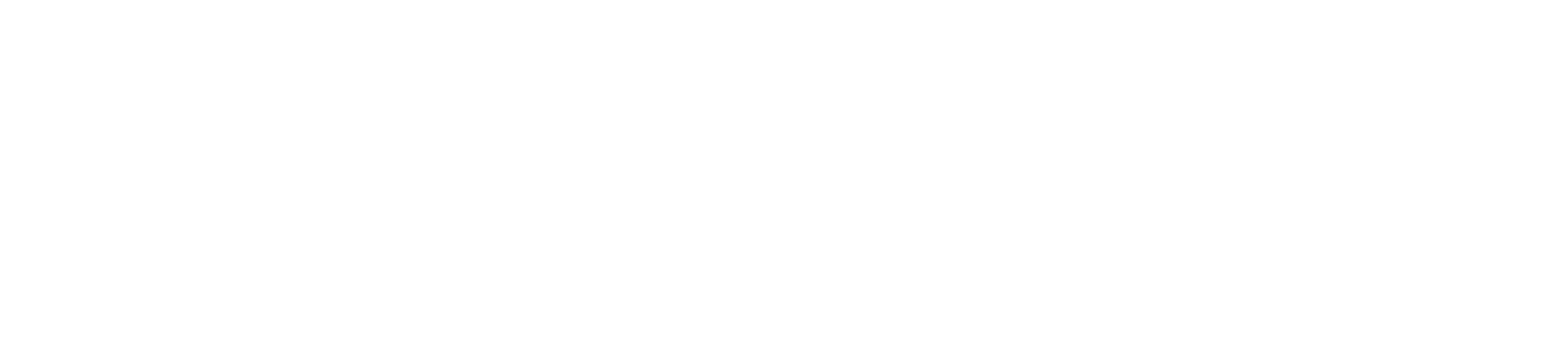 Toronto NeuroImaging